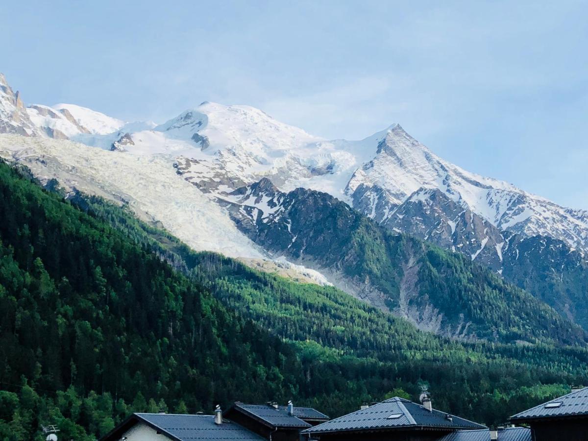 Mont Blanc 43, Vue Mont Blanc , Balcon, Parking Apartman Chamonix Kültér fotó