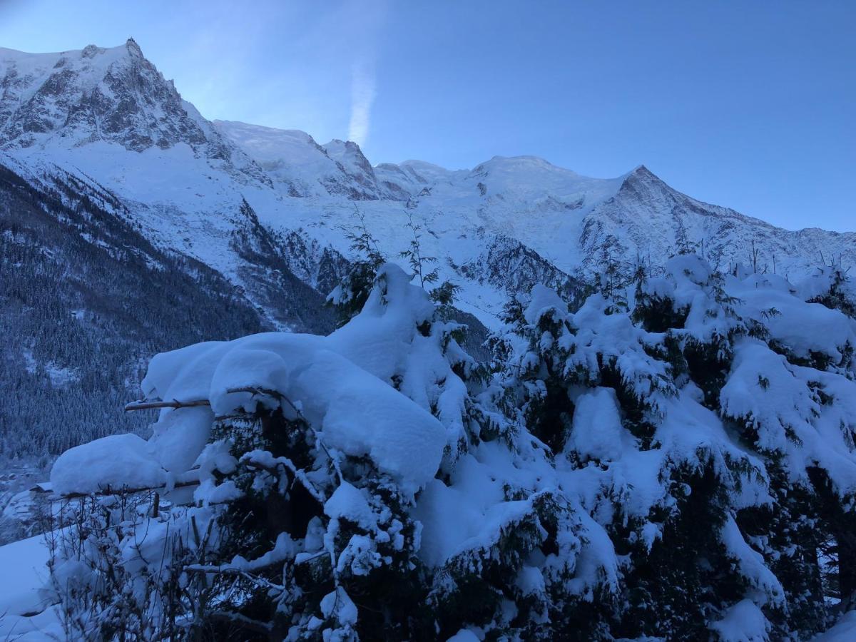 Mont Blanc 43, Vue Mont Blanc , Balcon, Parking Apartman Chamonix Kültér fotó